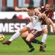 Milan, offerta da 50 milioni pi&ugrave; Cutrone per Belotti: il Torino avrebbe rifiutato