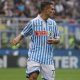 UFFICIALE : Spal, arrivano Fares e Viviani dall'Hellas Verona